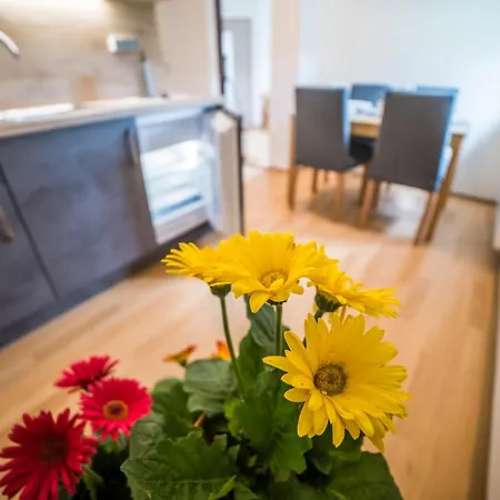 Apartamento Hasičárna
